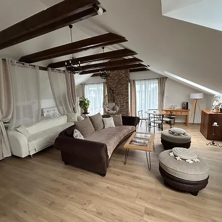 Apartamento U Zlatého Křížku Loukov (Mlada Boleslav)