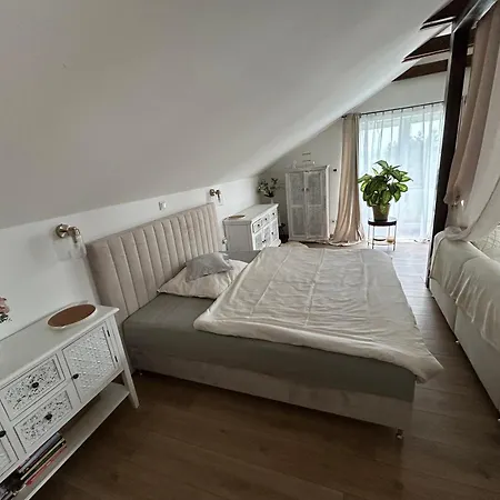 U Zlatého Křížku Apartamento